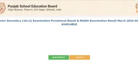 PSEB Punjab Board 12th Result 2024: Websites to check result at pseb.ac.in