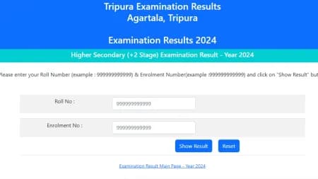 Tripura Board Madhyamik and HS Result 2024: How to download marksheet from tbse.tripura.gov.in