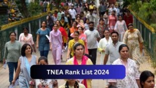 TNEA Rank List 2024 PDF